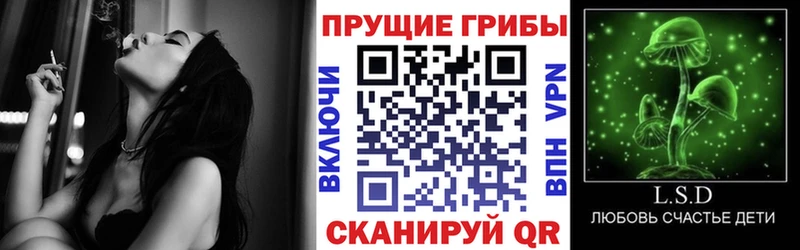 Псилоцибиновые грибы мухоморы  Бодайбо 
